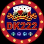 DK222 Game logo