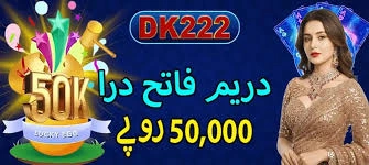 DK222 Game rewards